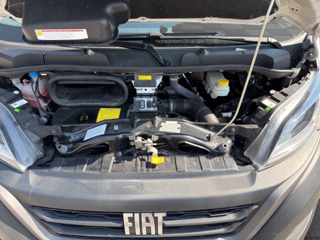 FIAT Ducato usata 12