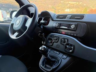 FIAT Panda usata 13