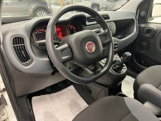 FIAT Panda usata, con ESP