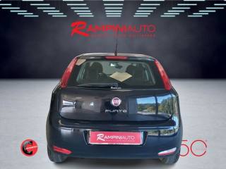 FIAT Punto usata 7