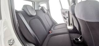 FIAT Panda usata 42
