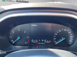 FORD Focus usata, con Fendinebbia