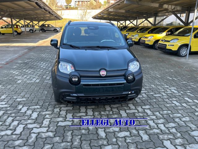FIAT Pandina usata, con Airbag Passeggero