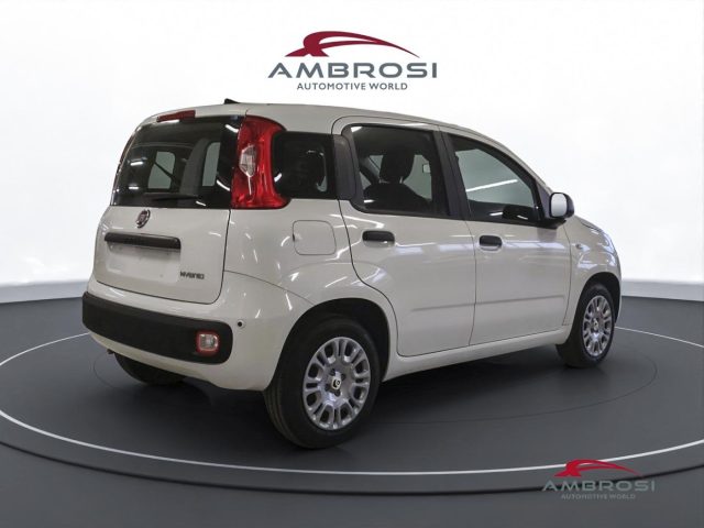 FIAT Panda usata 1