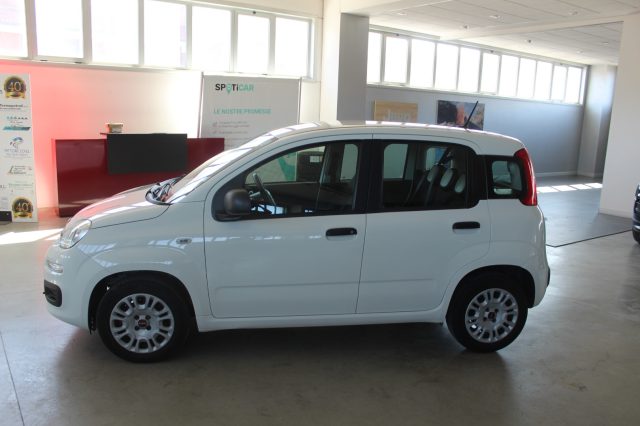 FIAT Panda usata, con Airbag Passeggero