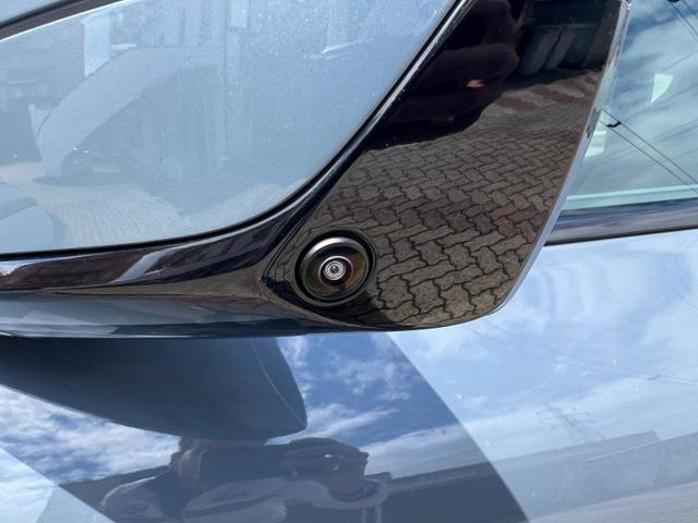 BMW iX usata, con Tetto panorama