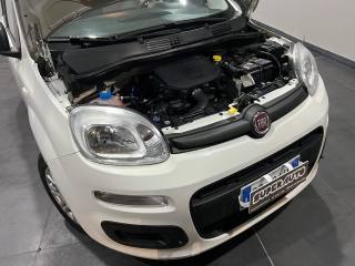 FIAT Panda usata, con Immobilizzatore elettronico