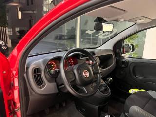 FIAT Panda usata, con Airbag testa