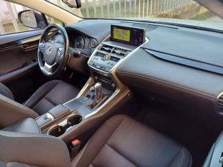 LEXUS NX 300 usata, con Touch screen