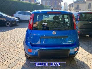 FIAT Panda usata, con Antifurto