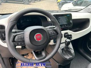FIAT Pandina Cross usata, con Vetri oscurati