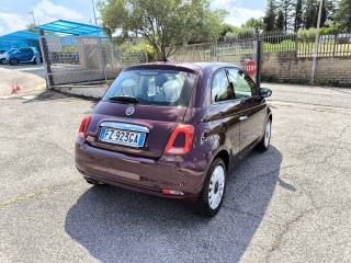 FIAT 500 usata 4