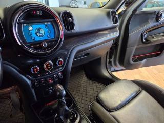 MINI Countryman usata, con Immobilizzatore elettronico