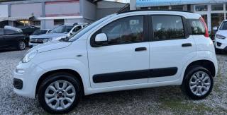 FIAT Panda usata, con Airbag Passeggero