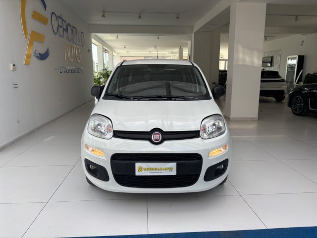 FIAT Panda usata, con Airbag Passeggero