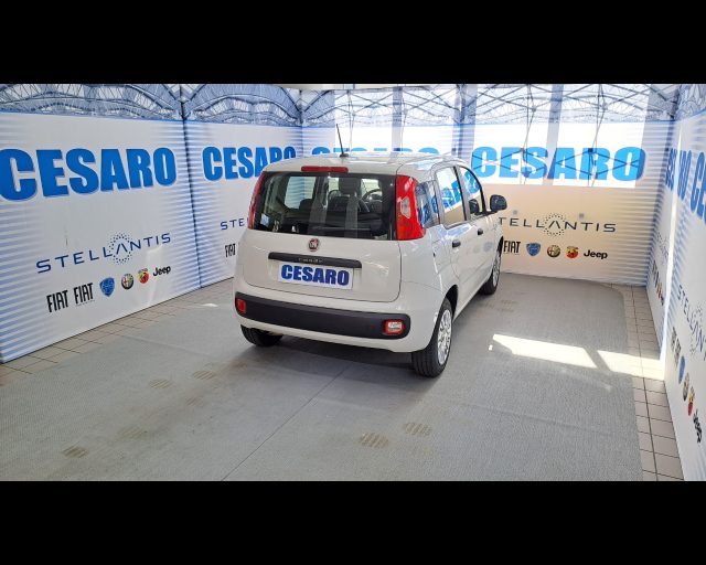 FIAT New Panda usata, con Airbag Passeggero