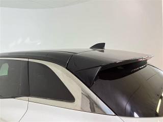 RENAULT Austral usata 21