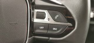PEUGEOT 3008 usata, con Limitatore di velocità