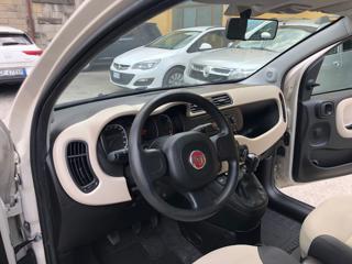 FIAT Panda usata, con Fendinebbia