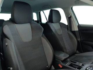 SKODA Octavia usata, con Cruise Control