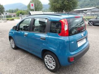 FIAT Panda usata, con Airbag Passeggero