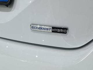 FORD Fiesta usata, con Riconoscimento dei segnali stradali