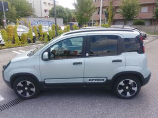 FIAT Panda Cross usata, con Alzacristalli elettrici