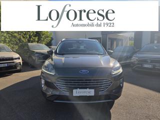 FORD Kuga 1.5 EcoBlue 120 CV aut. 2WD ST-Line