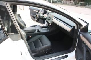 TESLA Model 3 usata, con Fendinebbia