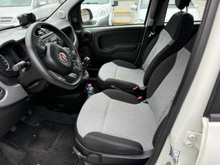 FIAT Panda usata, con Alzacristalli elettrici