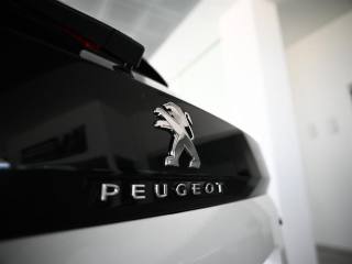 PEUGEOT 3008 usata, con Boardcomputer