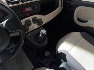 FIAT Panda usata, con Immobilizzatore elettronico