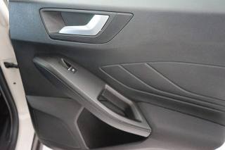 FORD Focus usata 41
