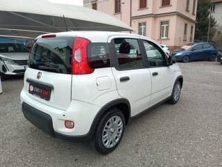 FIAT Panda usata, con Chiusura centralizzata