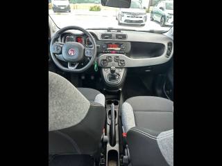 FIAT Panda usata, con Servosterzo