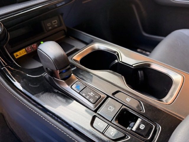 LEXUS NX 300h usata, con Climatizzatore