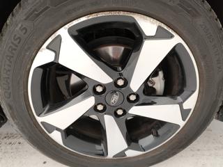 FORD Focus usata, con Bracciolo