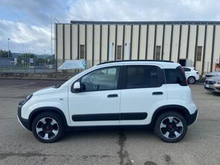 FIAT Panda Cross usata, con Chiusura centralizzata