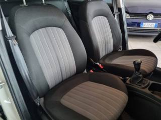 FIAT Punto usata 13