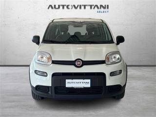 FIAT Panda usata, con Alzacristalli elettrici