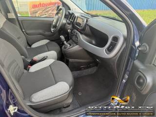 FIAT Panda usata, con Climatizzatore
