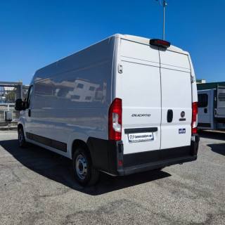 FIAT  usata 4
