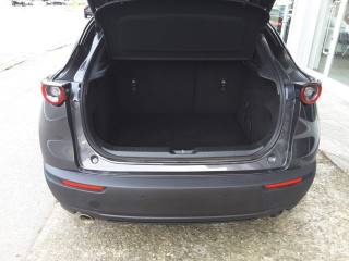 MAZDA CX-30 usata, con Servosterzo