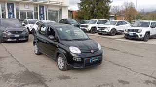FIAT Panda usata, con Airbag Passeggero