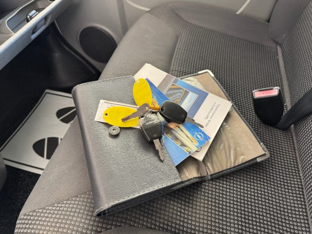 OPEL Vivaro usata 36