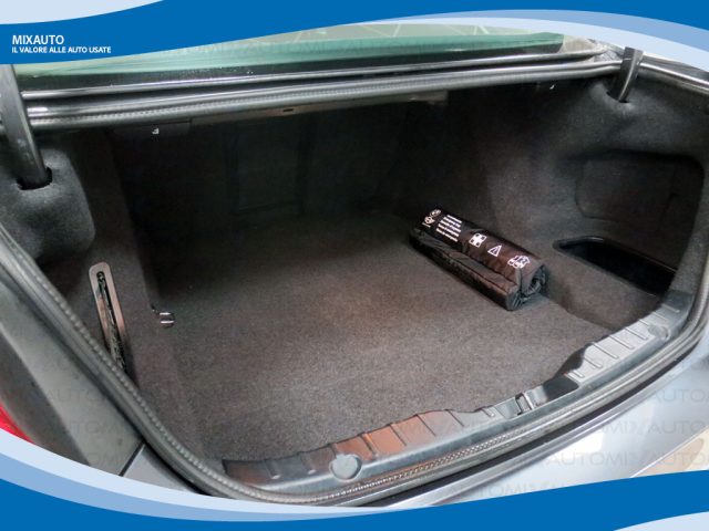 BMW 520 usata, con Fendinebbia