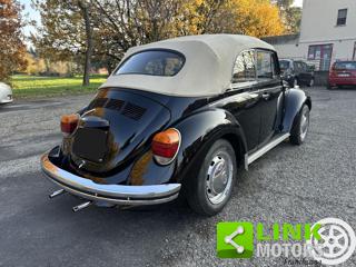 VOLKSWAGEN Maggiolone usata 7