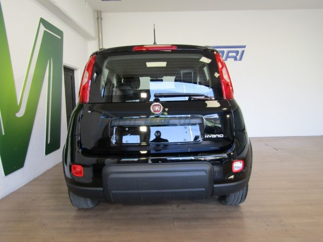 FIAT Panda usata, con Controllo trazione