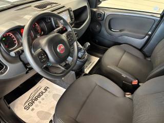 FIAT Panda Cross usata, con Chiusura centralizzata