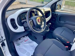FIAT Panda usata, con Climatizzatore